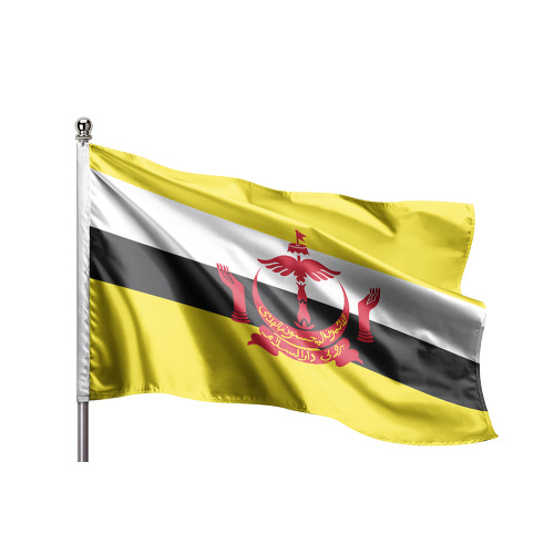Brunei Gönder Bayrağı
