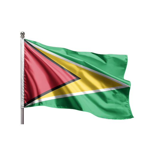Guyana Gönder Bayrağı