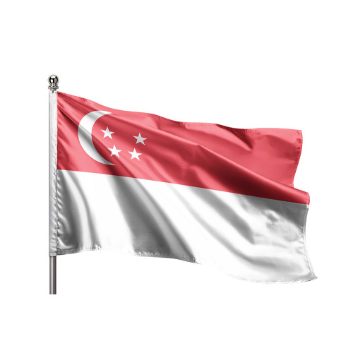 Singapur Gönder Bayrağı